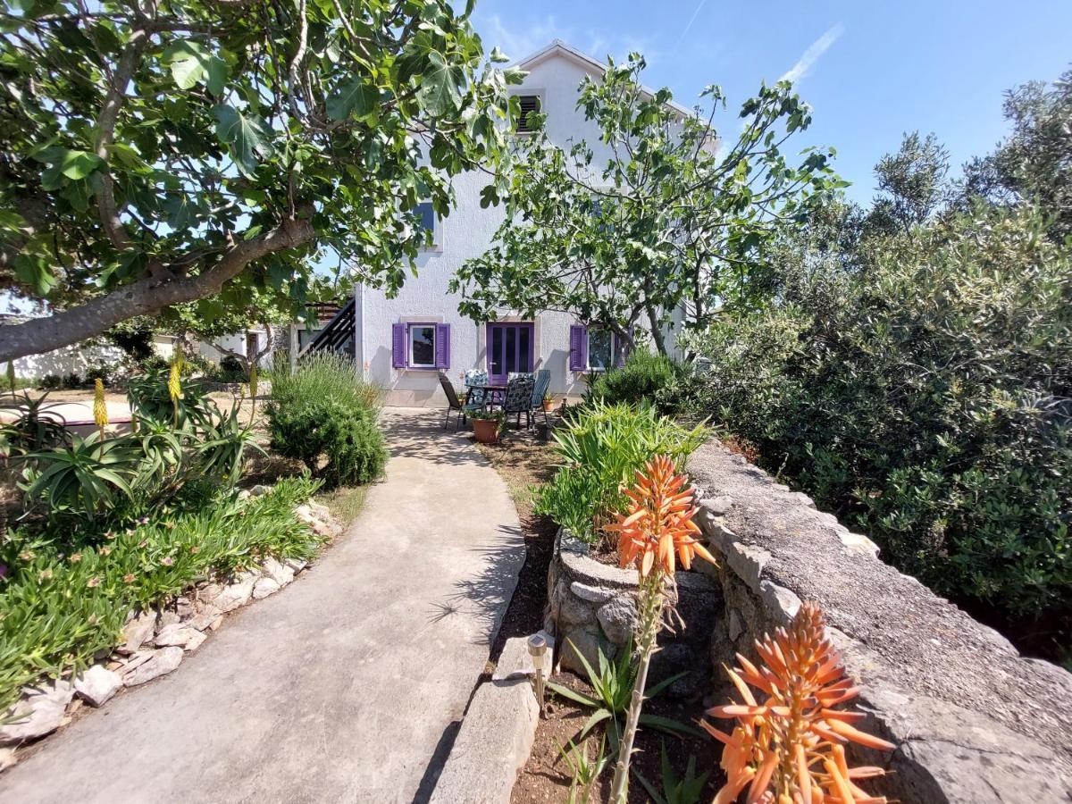 Casa Di Castello Διαμέρισμα Mali Lošinj Εξωτερικό φωτογραφία