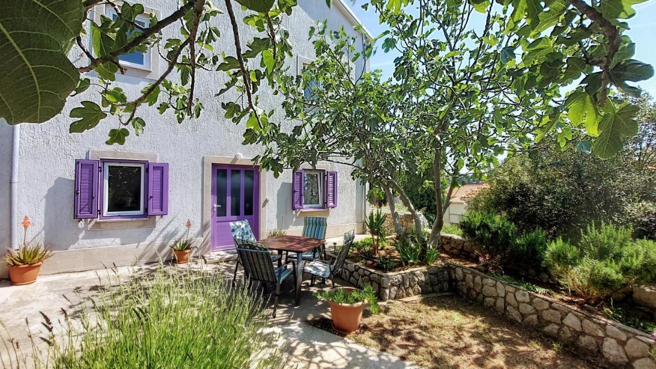 Casa Di Castello Διαμέρισμα Mali Lošinj Εξωτερικό φωτογραφία