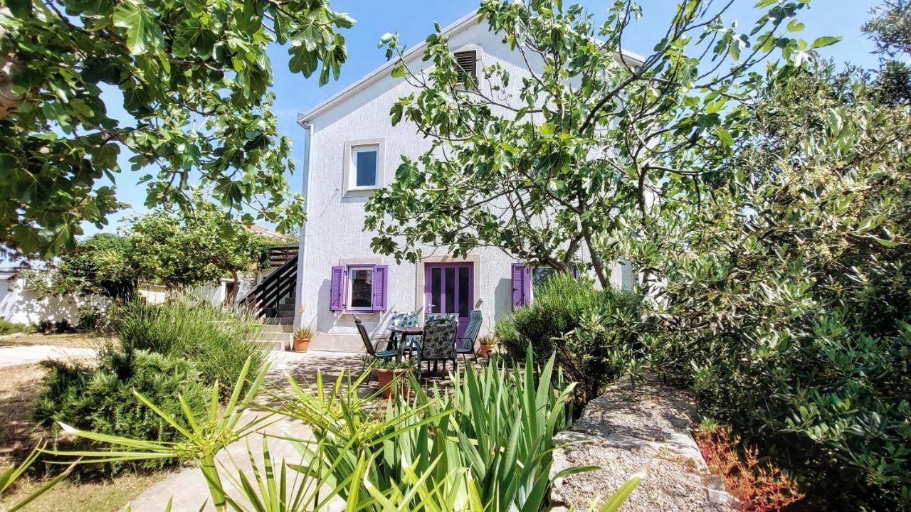 Casa Di Castello Διαμέρισμα Mali Lošinj Εξωτερικό φωτογραφία
